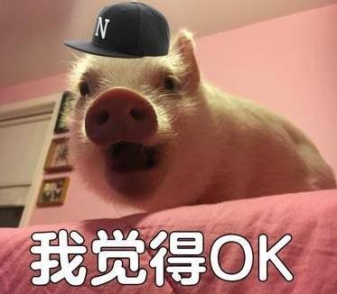 MC最新潮流梗攻略，掌握潮流技能的全面指南
