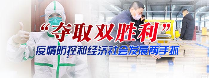 宝鸡市最新视频内容获取与观看指南