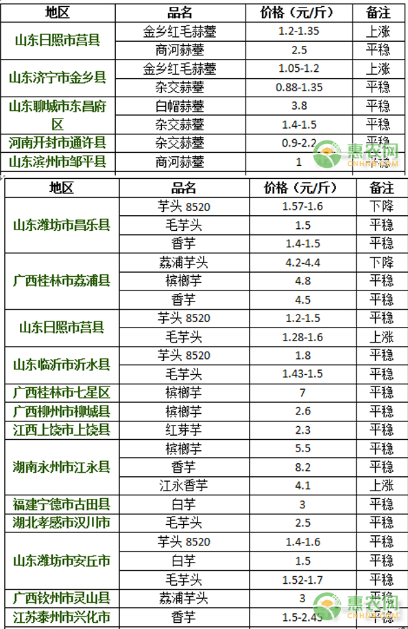 芋头最新行情，小巷深处的特色小店芋头风情之旅