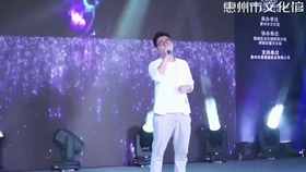 最新男声独唱，音乐魅力的展现与争议之声
